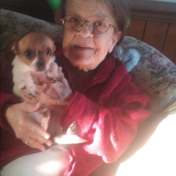 Meet your Posher, Casey - Picture 4 of 8